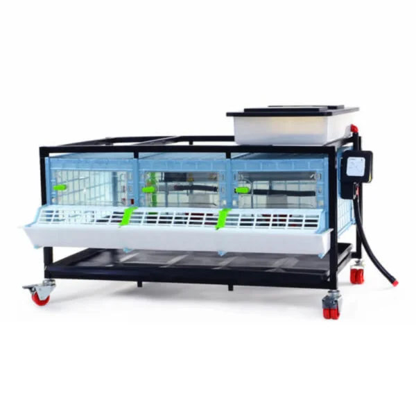 Chick Brooder - 1 Layer H: 9.5”
