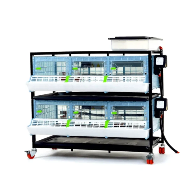 Chick Brooder - 2 Layer H: 9.5”