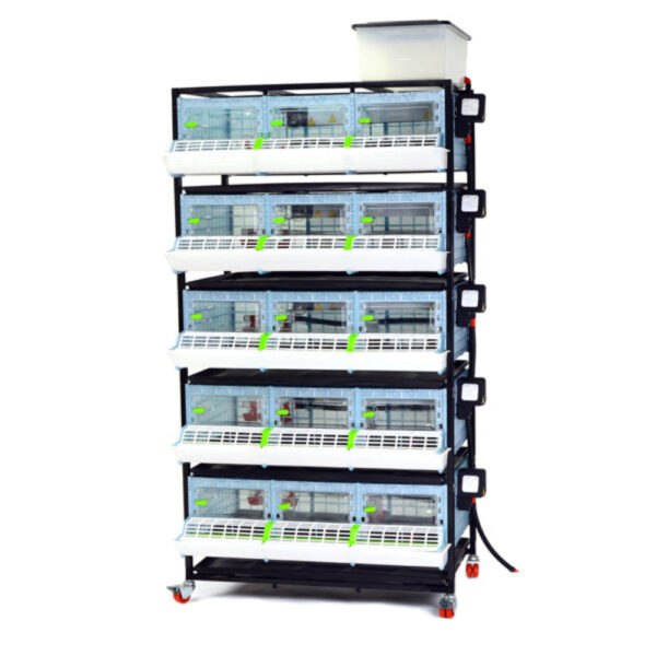 Chick Brooder - 5 Layer H: 9.5”