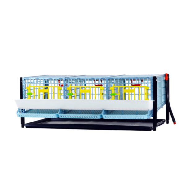 Quail Cage - Layer Addition - Traditional